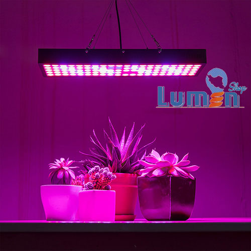 لامپ رشد گیاه led